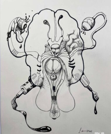 Über Performance • Hermaphrodit