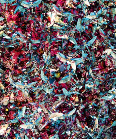 Abundance Artprint XL